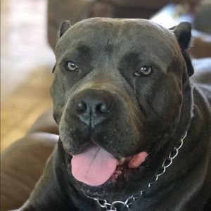 Meet your Posher, Stacy